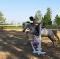 Poney offert en demi-pension ou pleine-pension