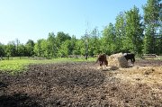 Ferme et Maison À Vendre