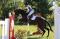Nuance, jument TB de 3ans et demi VENDUE // SOLD...