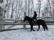Je cherche un emploi 
