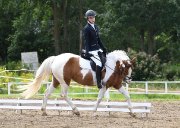 Large ponette paint pour demi-pension - Saint-Eustache