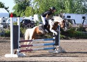 Large ponette paint pour demi-pension -...