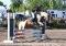 Large ponette paint pour demi-pension -...
