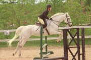 cours, entrainement, concours camps de jours...