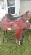 Billy Cook Pro reiner 16 po