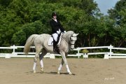 Instructeur classique, spécialisée dressage