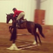 cours d'équitation classique offerts adaptés à...