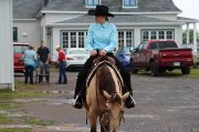 Cours d'équitation à domicile