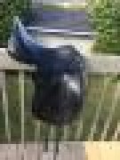 Selle dressage