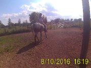 Recherche  demi pension