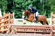 Medium pony for sale