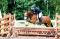 Medium pony for sale