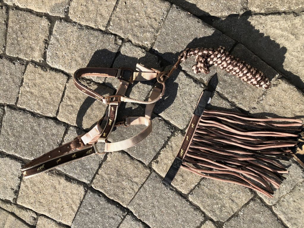 Licou, laisse, laisse avec chaine et anti-mouche