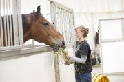 Technicien(e) vétérinaire / Veterinary Technician