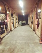 Pension pour chevaux Rive-Sud de Mtl - Ormstown