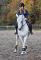 IBÉRIQUE WARMBLOOD OFFERT EN DEMIE-PENSION