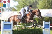 Écurie sunny breeze stable
