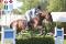 Écurie sunny breeze stable