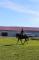 Écurie sunny breeze stable