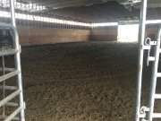 Écurie sunny breeze stable