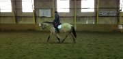 Demi-pension à St-Janvier - Dressage et/ou sauts