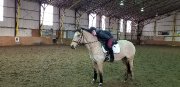 Demi-pension à St-Janvier - Dressage et/ou sauts