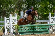 Medium Poney a vendre (chasse) - Bromont 2017