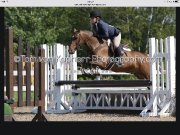 Medium Poney a vendre (chasse) - Medium poney