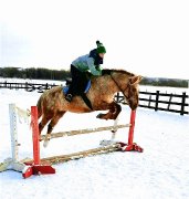 Large poney flashy
