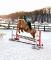 Large poney flashy