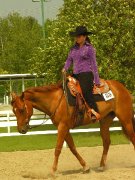 COURS D'ÉQUITATION WESTERN, BREVET DE CAVALIER,