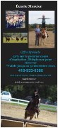 Promotion! Cours d'équitation Chateau-Richer