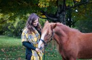 Poney Welsh 13.2 mains recherche cavalier