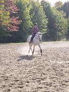 cours d'équitation