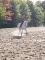 cours d'équitation