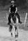demi pension MIRABEL jeune cheval holsteiner x...