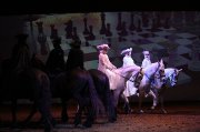 Cavalier de spectacle