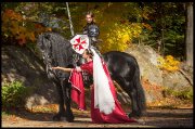 Cavalier de spectacle