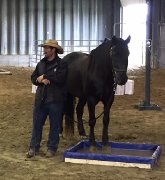 Clinique Cowboy Extrême avec Eric St-Arnault 18,19 et 20 mai