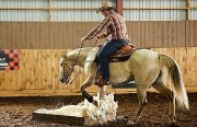 Clinique Cowboy Extrême avec Eric St-Arnault 18,19 et 20 mai