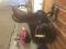 Selle tout usage 185