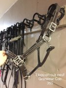 Licou en cuir à vendre