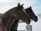 Demi-pension / Full Lease St Hyacinthe