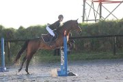 Petit cheval