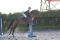 Petit cheval