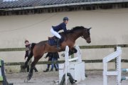 Petit cheval