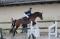 Petit cheval