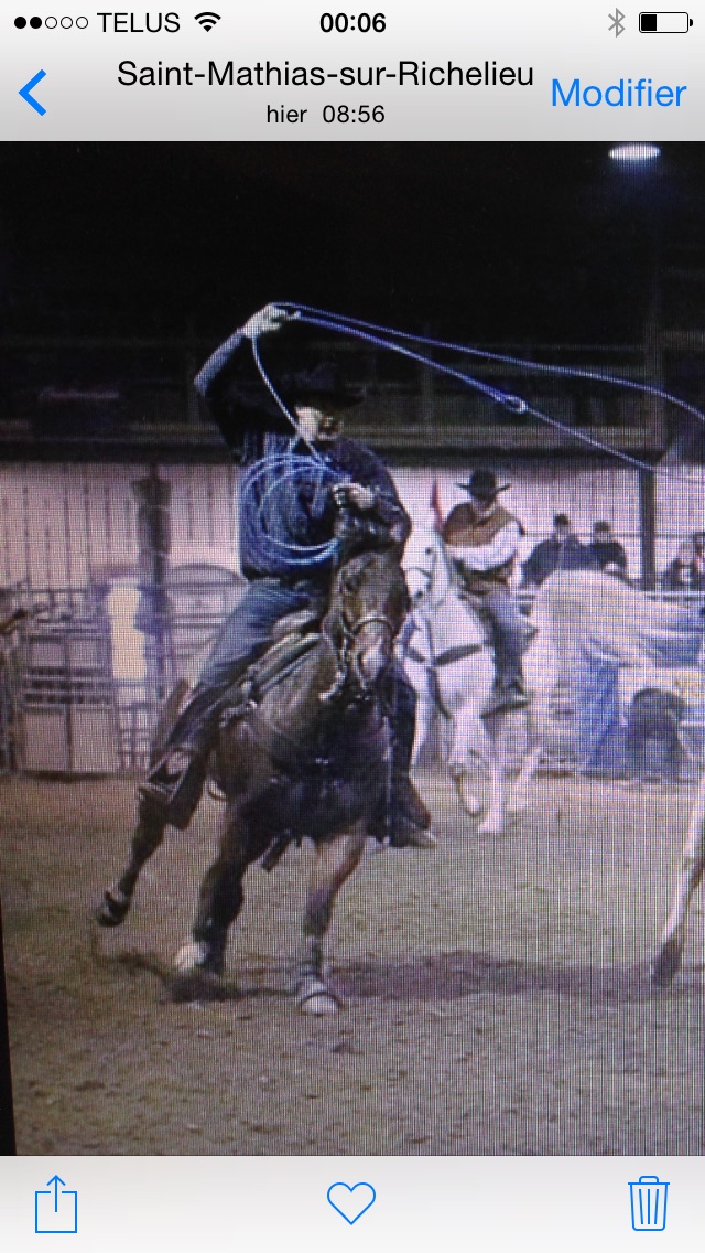 Pension pour 1 cheval et site d'entrainement pour roping