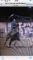 Pension pour 1 cheval et site d'entrainement pour...