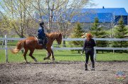 Clinique avec Marie-Claude Bouillon le 8-9 juin 2019